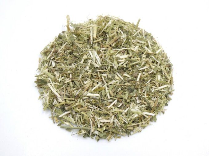 Mélilot Bio – Partie aérienne coupée | Melilotus officinalis